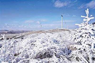 甘肅旅游丨華嶺霧凇冰雪節(jié)“玉樹(shù)瓊花”美如畫
