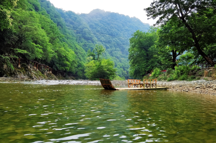 【小隴畫報(bào)·95期】康縣：來陽壩，“森”呼吸，我“氧”你