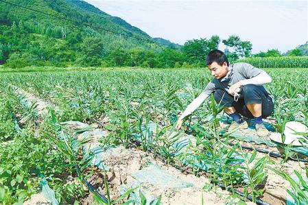 【走向我們的小康生活】安居樂業(yè) 幸?；ㄩ_
