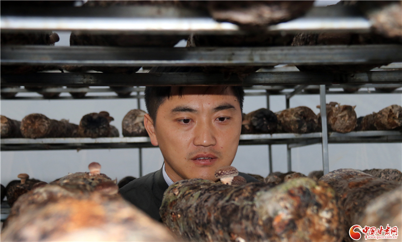 110年！何家溝村終于有了集體經(jīng)濟——中建二局黨建結(jié)對幫扶成效顯著