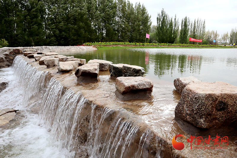 臨澤：內疏外連構建生態(tài)水系大網絡 再現(xiàn)“塞上江南”壯美景觀