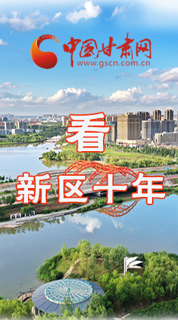 圖解|崛起！新區(qū)十年
