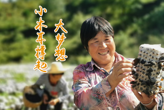 海報(bào)丨他們，乘“豐”破浪！