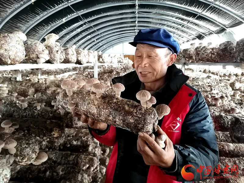 秋分“拍了拍”豐收節(jié)  甘肅渭源農民唱響豐收之歌（組圖）