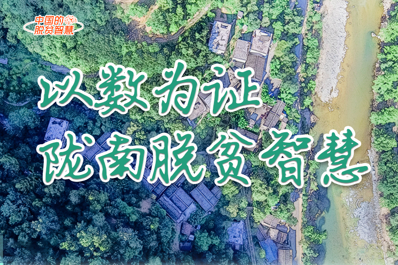 【中國的脫貧智慧】以數(shù)為證！隴南脫貧智慧來了！