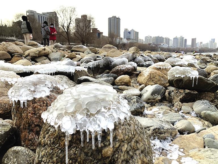 蘭州：水母上河灘？