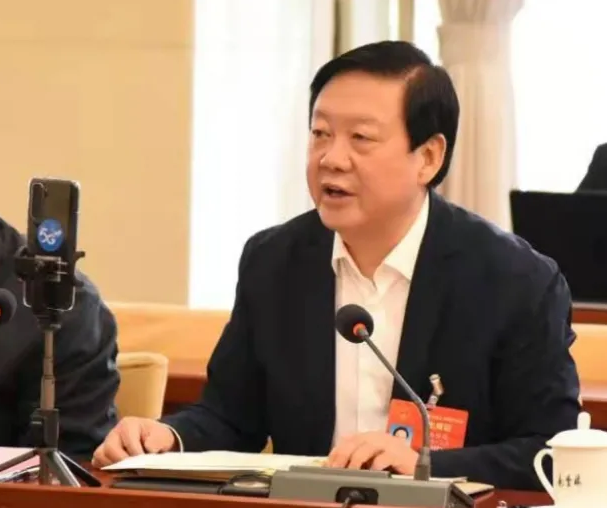 【聚焦2021全國兩會】全國人大代表、市委書記楊維俊接受中國日報記者采訪