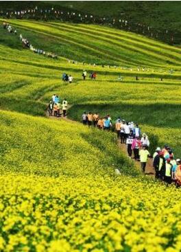 甘肅明確農(nóng)民進(jìn)城落戶(hù):不以退出承包地、林地等為條件