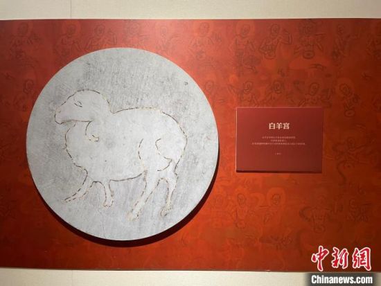 圖為展覽現(xiàn)場(chǎng)?！〗瓧顭?攝