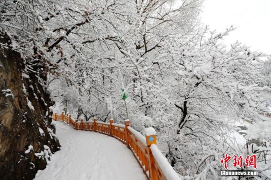 圖為上山的石階被雪覆蓋。張?zhí)鞂?攝