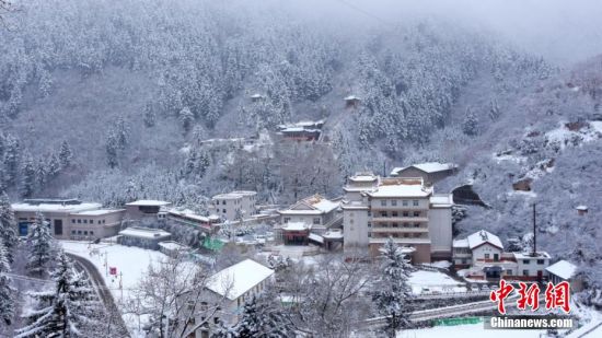 圖為籠罩在雪下的世界。吳永 攝