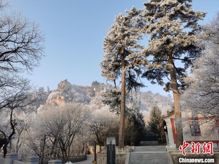 圖為崆峒山霧凇景色美不勝收?！⌒煺袢A 攝