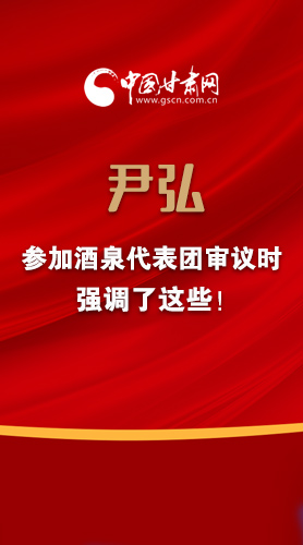 【2022甘肅兩會·圖解】尹弘書記參加酒泉代表團審議時強調(diào)了這些！