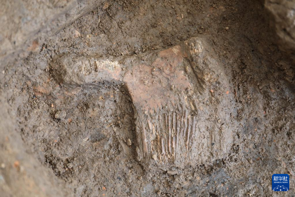 河南南陽市黃山新石器時代遺址出土的屈家?guī)X文化骨梳（資料圖）。