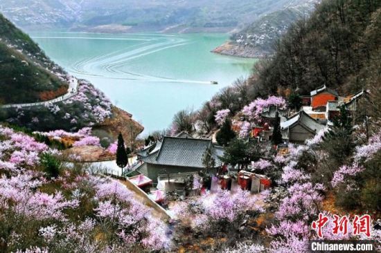 甘肅平?jīng)鍪惺侵袊鴥?yōu)秀旅游城市。圖為平?jīng)鲠轻忌较率锾一ㄊ㈤_。(資料圖) 平?jīng)鍪形麄鞑抗﹫D