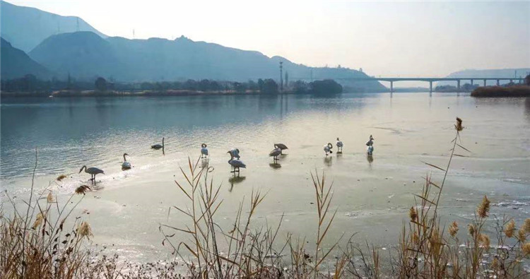 1668519569436633.jpg 5.jpg