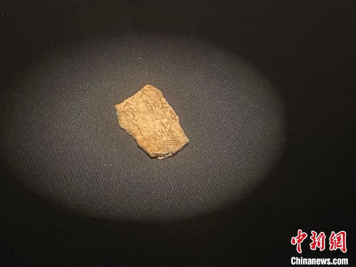甲骨6006 國家典籍館供圖 甲骨6006 國家典籍館供圖