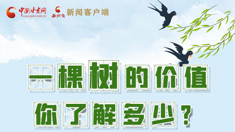 圖解|一棵樹的價(jià)值你了解多少?來看！