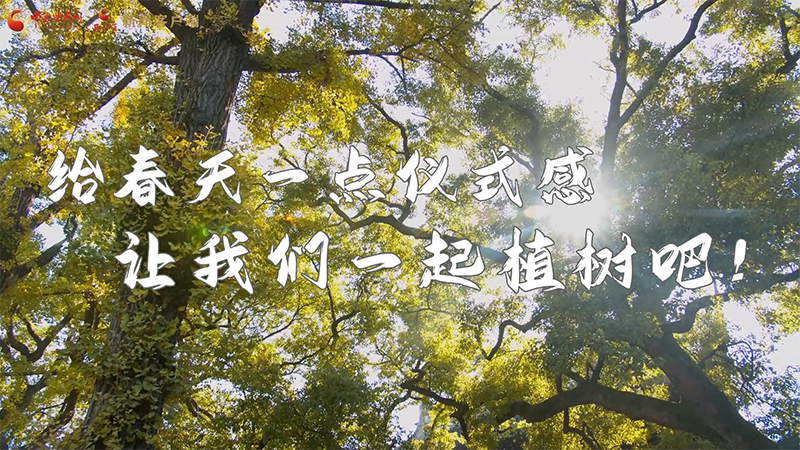 短視頻|給春天一點儀式感，讓我們一起植樹吧！