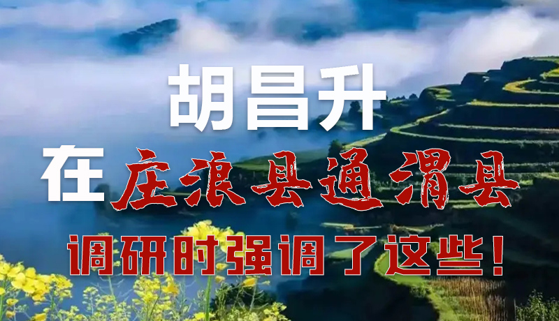 圖解|胡昌升在莊浪縣通渭縣調(diào)研時強調(diào)了這些！