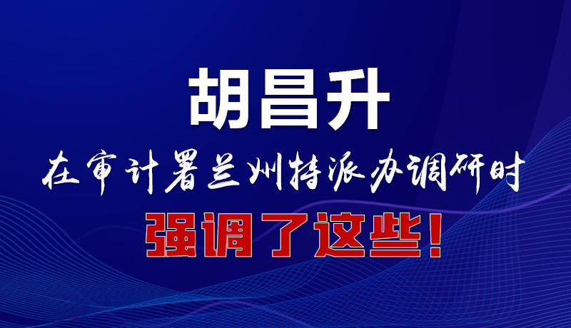 圖解|胡昌升在審計署蘭州特派辦調(diào)研時強調(diào)了這些！