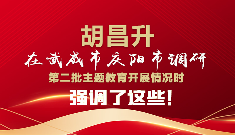 圖解|胡昌升在武威市慶陽(yáng)市調(diào)研第二批主題教育開(kāi)展情況時(shí)強(qiáng)調(diào)了這些！