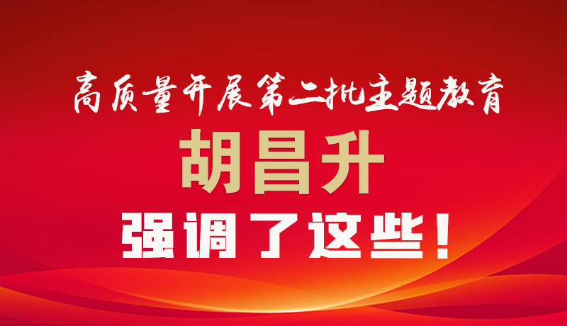 圖解|高質(zhì)量開(kāi)展第二批主題教育 胡昌升強(qiáng)調(diào)了這些！