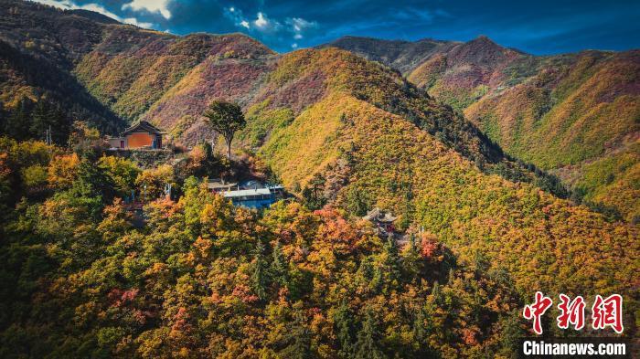 深秋，位于蘭州市榆中縣的興隆山，似打翻調(diào)色板。金峯 攝