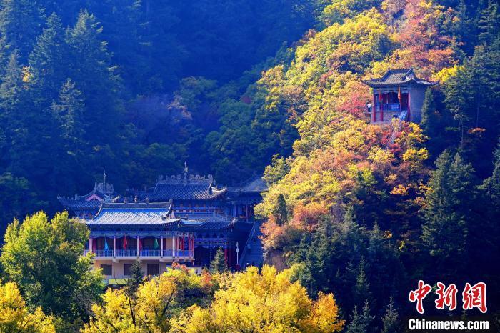深秋，位于蘭州市榆中縣的興隆山景色如畫。宮衛(wèi)紅 攝