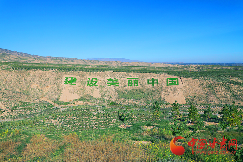 中國甘肅網(wǎng)走進武威涼州區(qū) 植綠南山共建生態(tài)家園