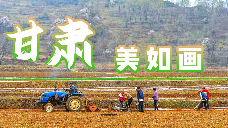 微海報(bào)|甘肅，美如畫