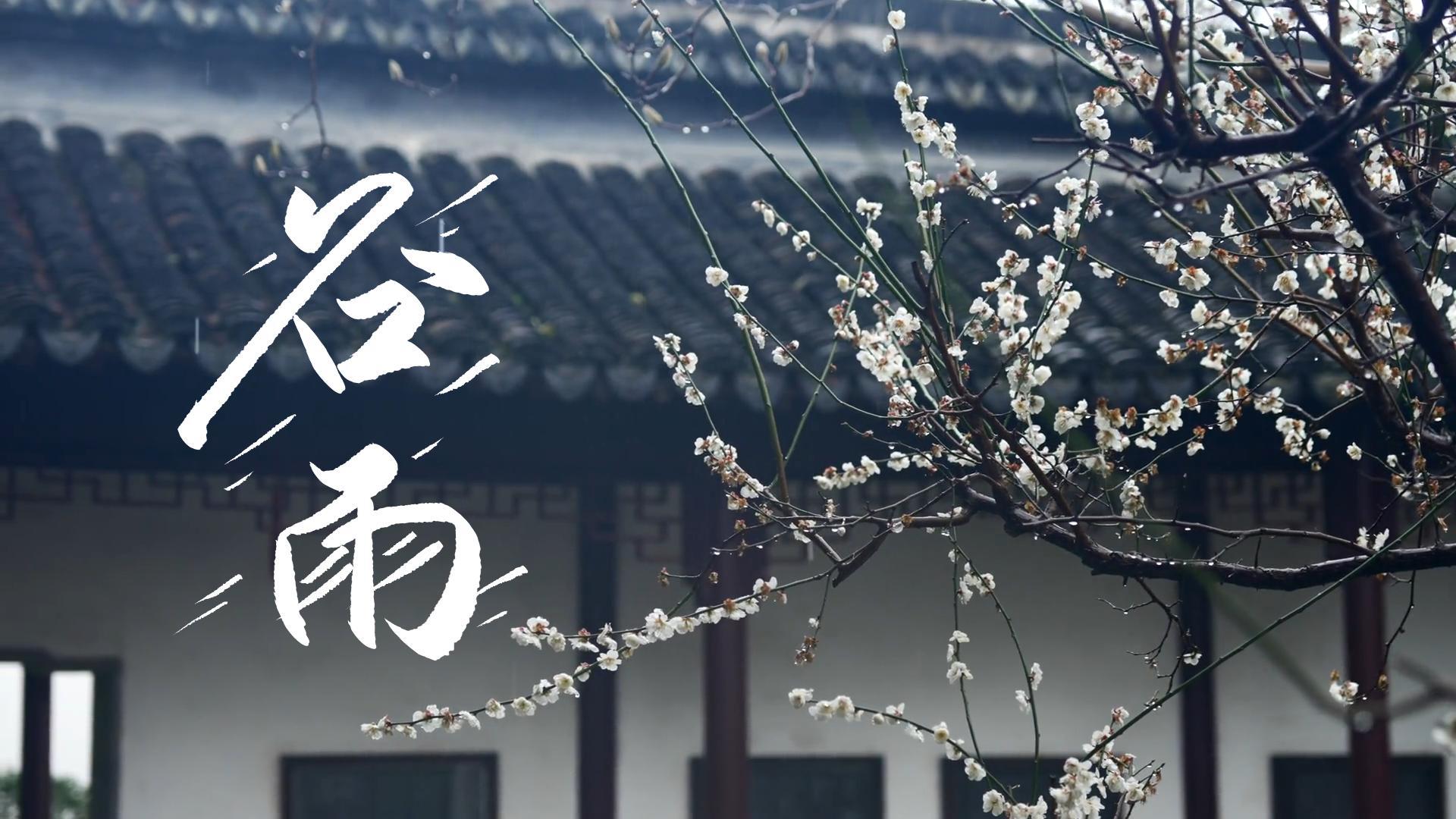 【節(jié)氣里的大美甘肅】谷雨，春天的最后一次回眸