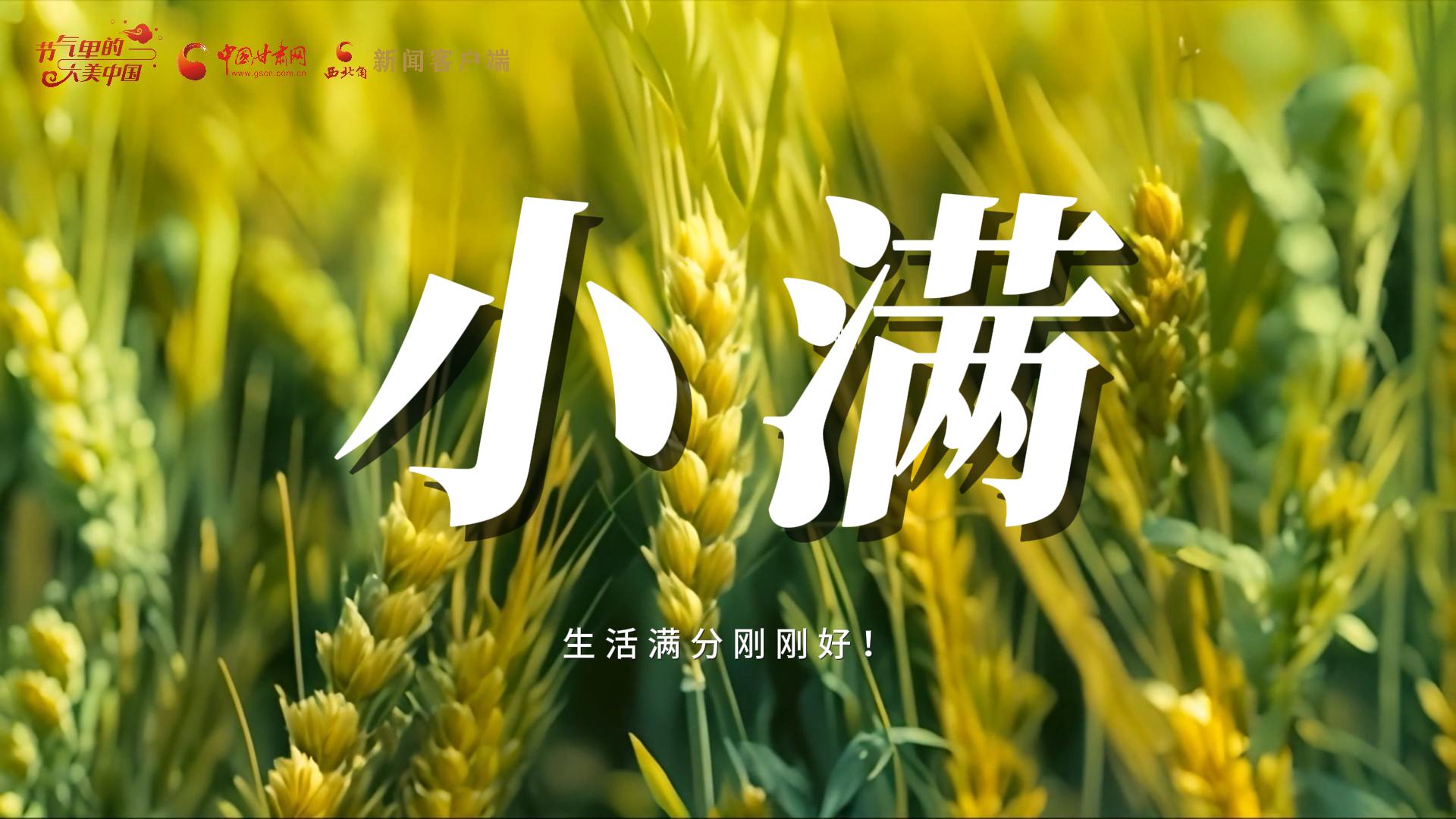 【節(jié)氣里的大美甘肅·小滿】生活滿分剛剛好！