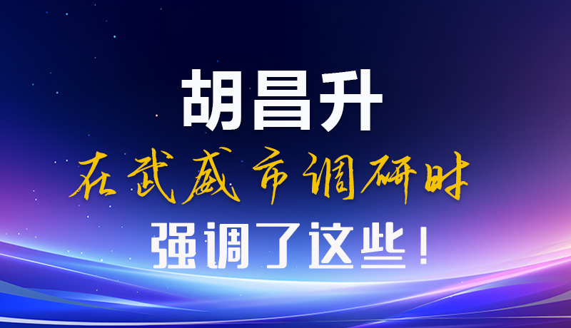 圖解|胡昌升在武威市調(diào)研時強調(diào)了這些！