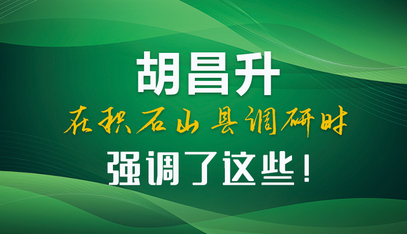 圖解|胡昌升在積石山縣調(diào)研時(shí)強(qiáng)調(diào)了這些！