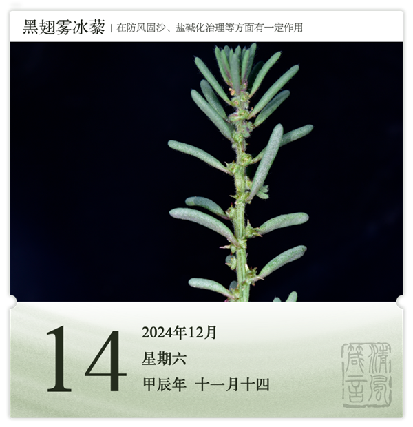1732869922151888.png 箴歷日歷12-14.png