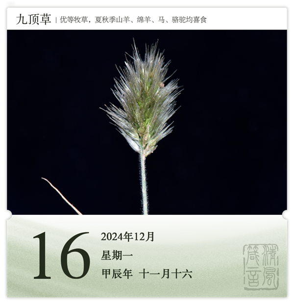 1732870301367553.png 箴歷日歷12-16.png