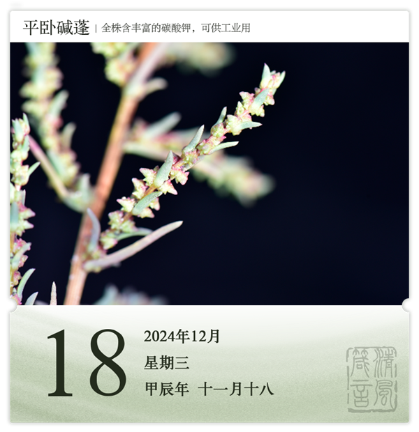 1732870498614534.png 箴歷日歷12-18.png