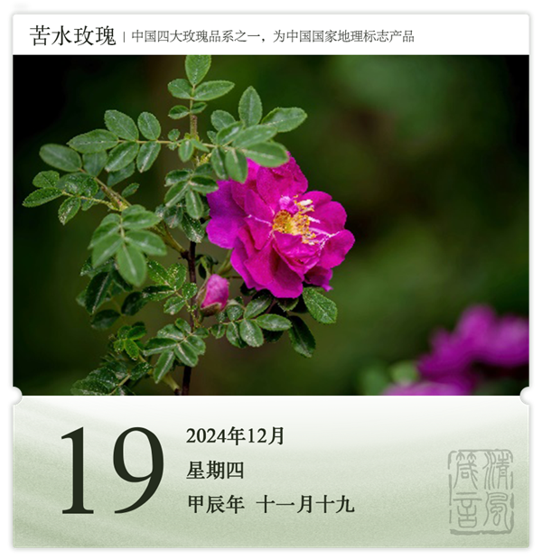 1732870585518215.png 箴歷日歷12-19.png
