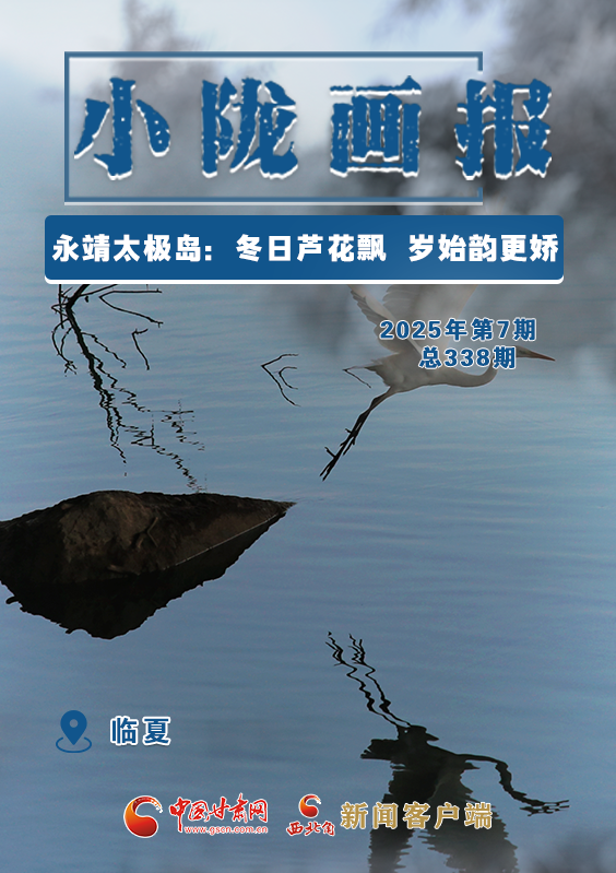 【小隴畫報(bào)·338期】永靖太極島：冬日蘆花飄 歲始韻更嬌