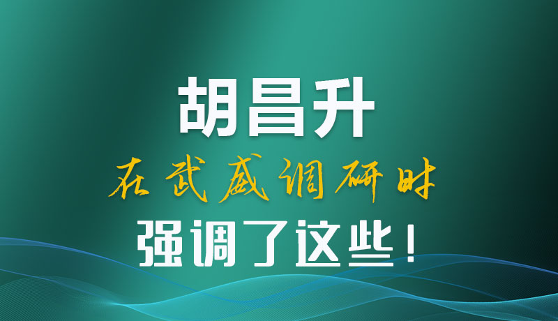 圖解|胡昌升在武威調(diào)研時(shí)強(qiáng)調(diào)了這些！