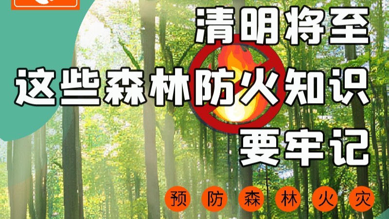 【甘快看】圖解|緊繃“安全弦”！清明，這些森林防火知識(shí)要牢記