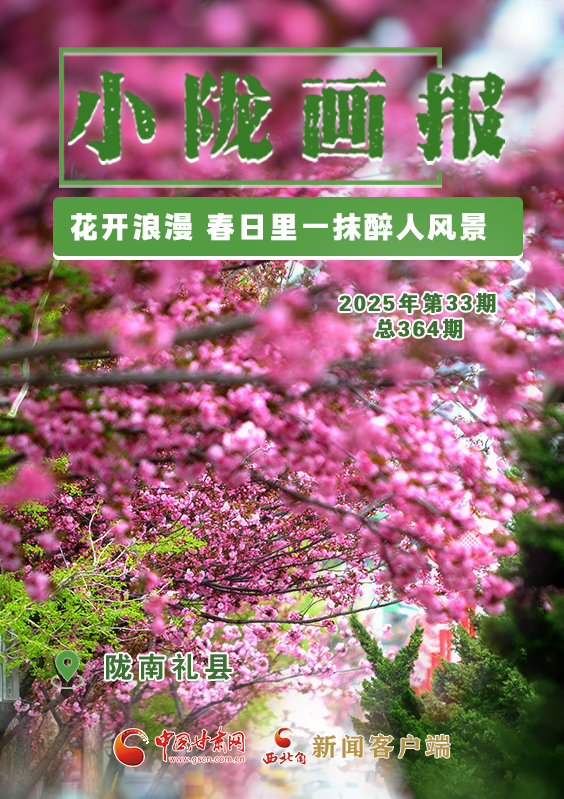 【小隴畫報(bào)·364期】禮縣：花開爛漫 春日里一抹醉人風(fēng)景