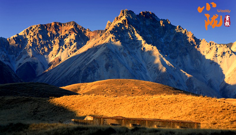 【小隴畫報·398期】張掖：夏日祁連山 秀美風光等你來