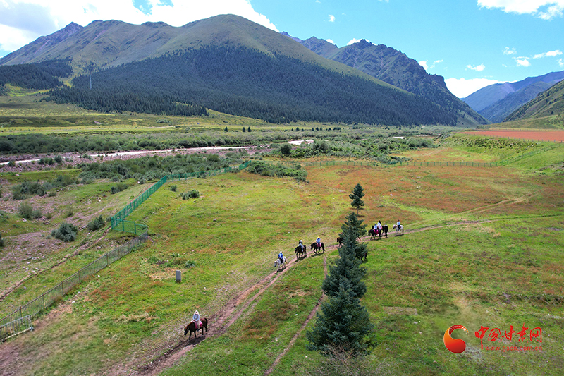 千年馬場(chǎng)綻新顏