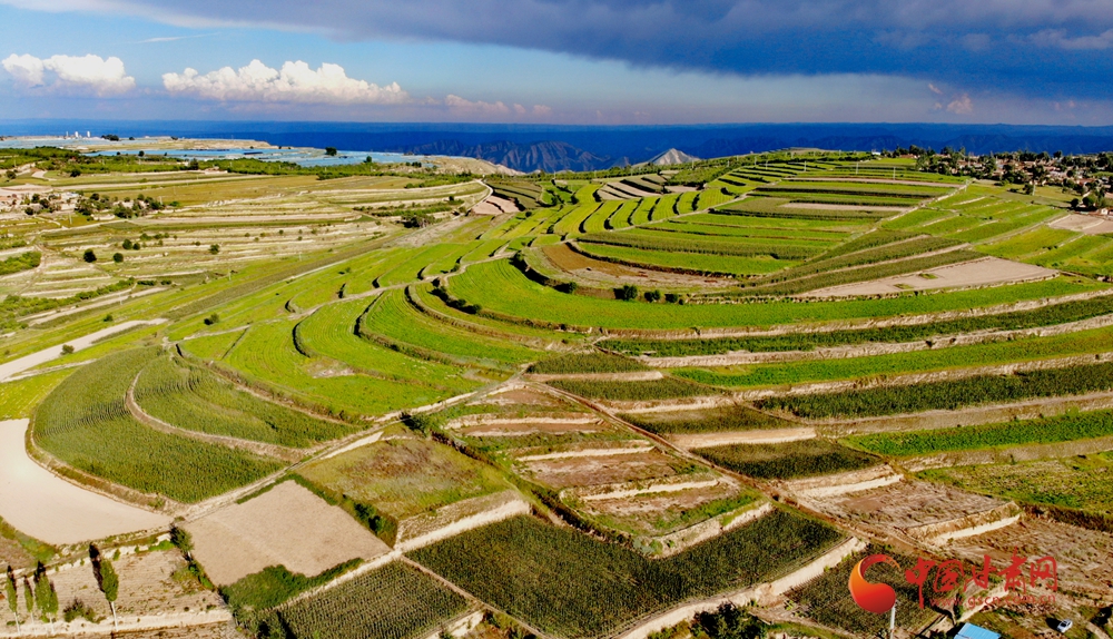 隴拍客丨會寧：蕎麥花開染豐年