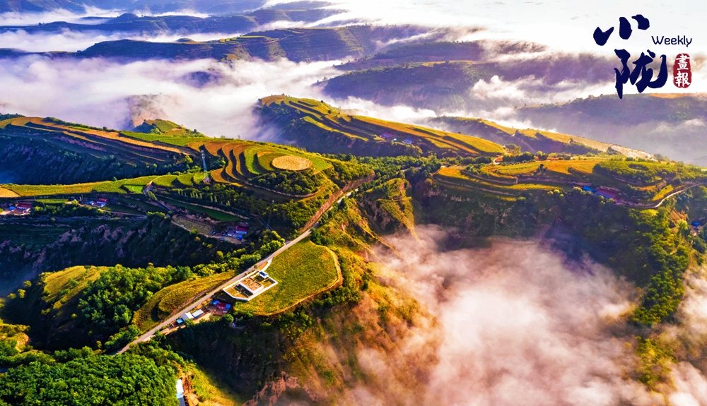 【小隴畫報·440期】冬日華池黃土塬 色彩斑斕景如畫